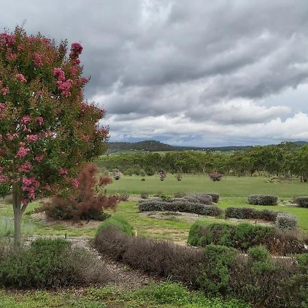 Accommodation Creek Cottages & Sundown View Suites Ballandean Extérieur photo