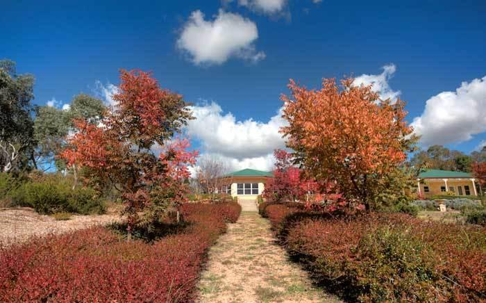 Accommodation Creek Cottages & Sundown View Suites Ballandean Extérieur photo
